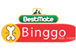 Binggo